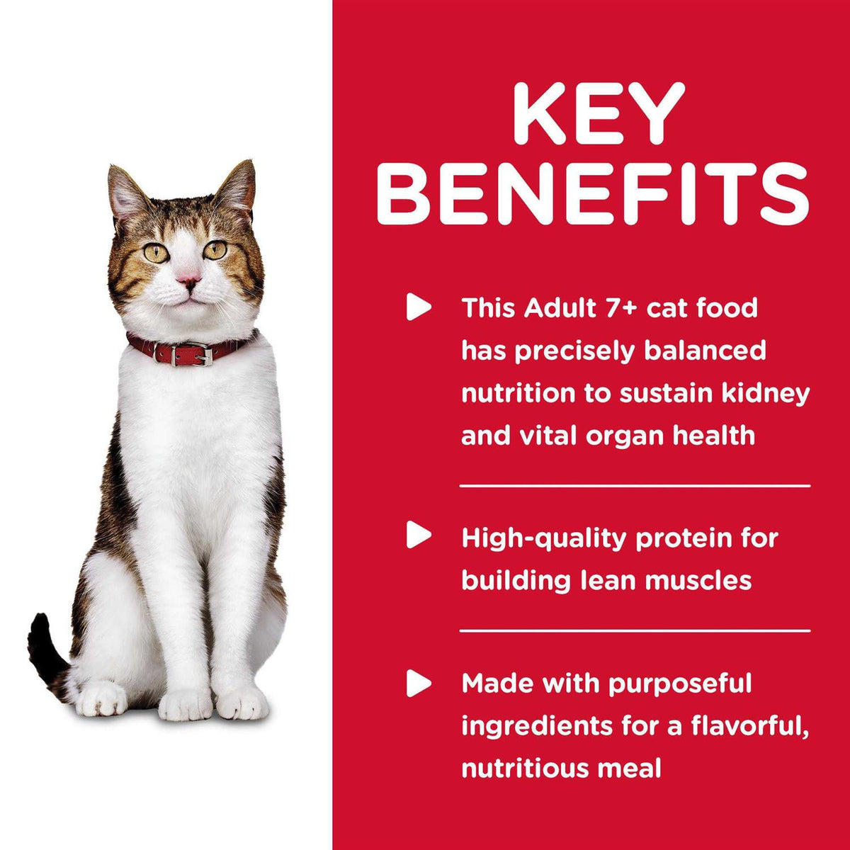 Adult 7+ Chicken Entree Cat Food E695